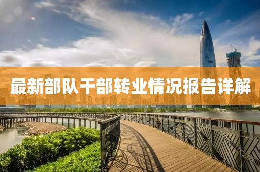 最新部隊(duì)干部轉(zhuǎn)業(yè)情況報(bào)告詳解