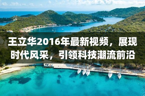 王立華2016年最新視頻，展現(xiàn)時代風采，引領(lǐng)科技潮流前沿