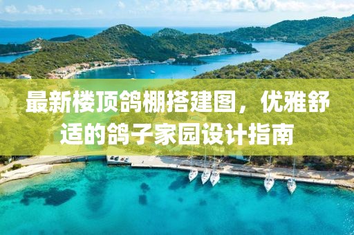 最新樓頂鴿棚搭建圖，優(yōu)雅舒適的鴿子家園設(shè)計指南