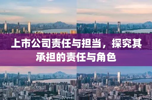 上市公司責(zé)任與擔(dān)當(dāng)，探究其承擔(dān)的責(zé)任與角色