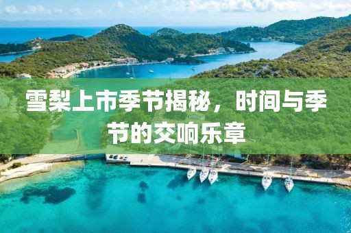 雪梨上市季節(jié)揭秘，時(shí)間與季節(jié)的交響樂章