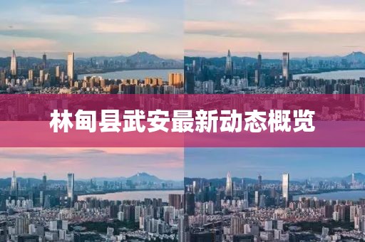林甸縣武安最新動態(tài)概覽