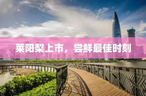 萊陽梨上市，嘗鮮最佳時刻