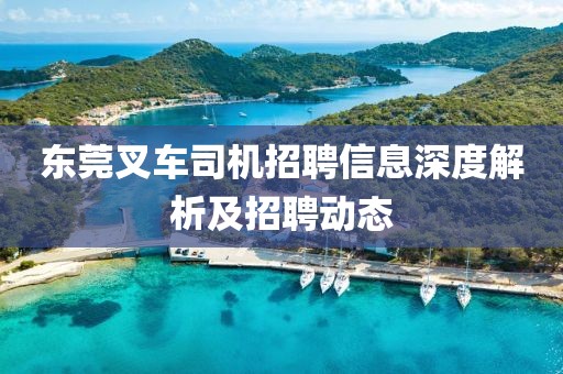 東莞叉車司機招聘信息深度解析及招聘動態(tài)
