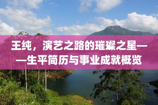 王純，演藝之路的璀璨之星——生平簡歷與事業(yè)成就概覽