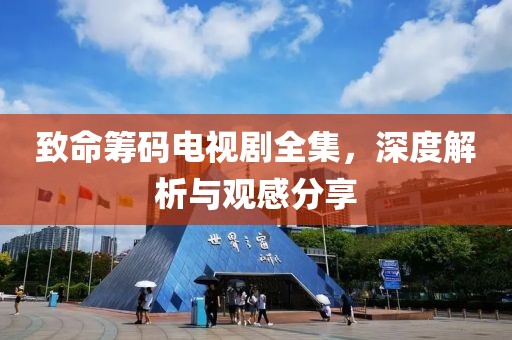 致命籌碼電視劇全集，深度解析與觀感分享