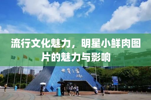 流行文化魅力，明星小鮮肉圖片的魅力與影響