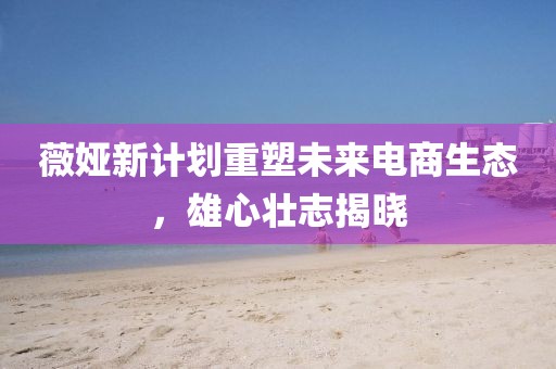 薇婭新計劃重塑未來電商生態(tài)，雄心壯志揭曉