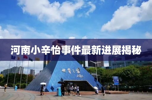 河南小辛怡事件最新進展揭秘