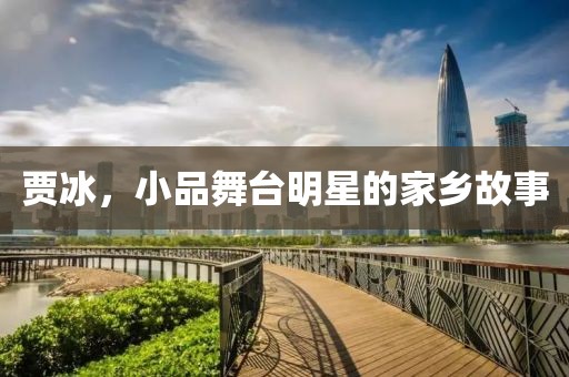 賈冰，小品舞臺明星的家鄉(xiāng)故事