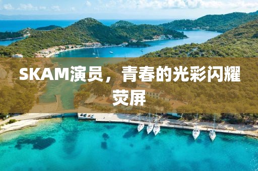 SKAM演員，青春的光彩閃耀熒屏
