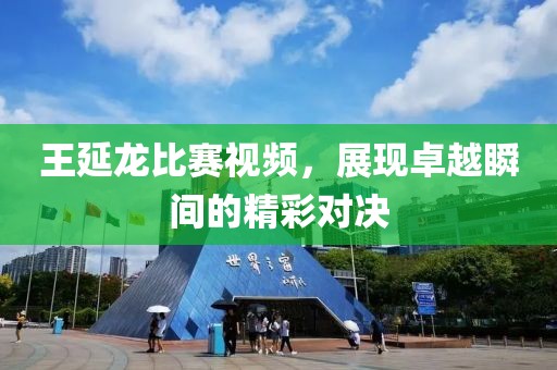 王延龍比賽視頻，展現(xiàn)卓越瞬間的精彩對決