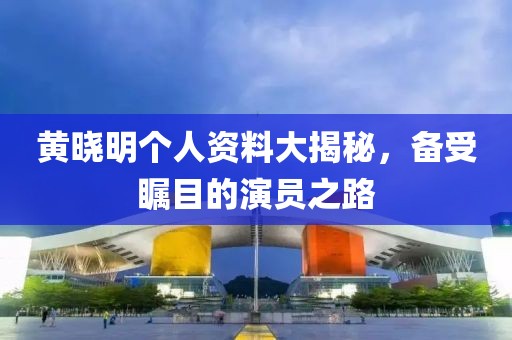 黃曉明個(gè)人資料大揭秘，備受矚目的演員之路
