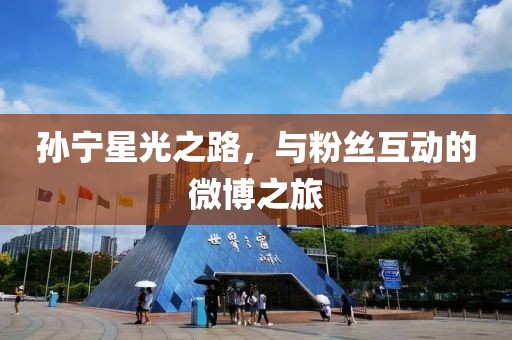 孫寧星光之路，與粉絲互動的微博之旅