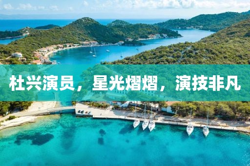 杜興演員，星光熠熠，演技非凡
