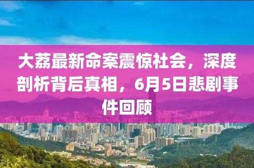 大荔最新命案震驚社會，深度剖析背后真相，6月5日悲劇事件回顧
