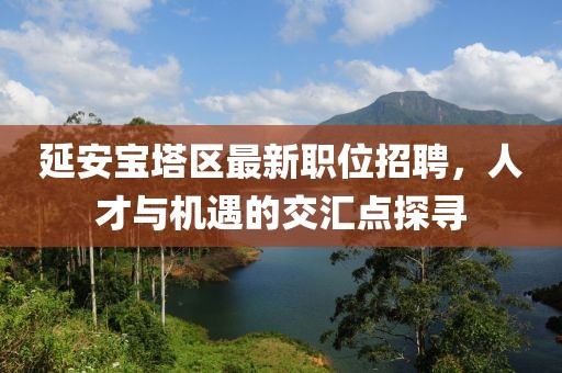 延安寶塔區(qū)最新職位招聘，人才與機(jī)遇的交匯點(diǎn)探尋