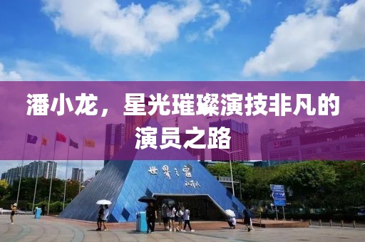 潘小龍，星光璀璨演技非凡的演員之路
