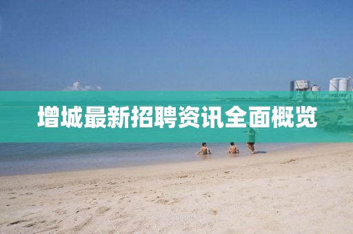 增城最新招聘資訊全面概覽