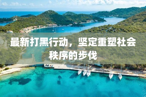 最新打黑行動(dòng)，堅(jiān)定重塑社會(huì)秩序的步伐