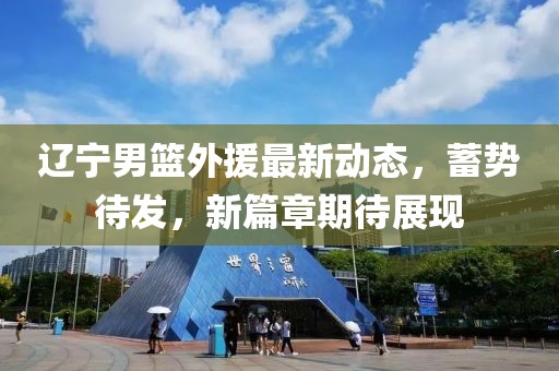 遼寧男籃外援最新動(dòng)態(tài)，蓄勢(shì)待發(fā)，新篇章期待展現(xiàn)