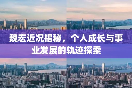 魏宏近況揭秘，個(gè)人成長(zhǎng)與事業(yè)發(fā)展的軌跡探索