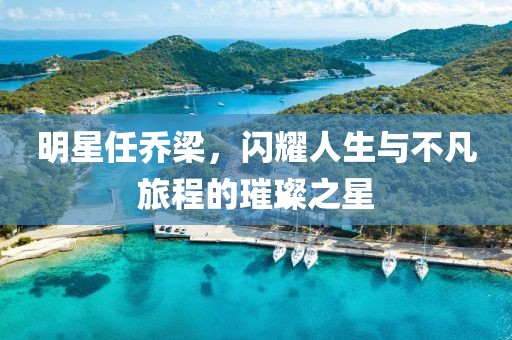 明星任喬梁，閃耀人生與不凡旅程的璀璨之星