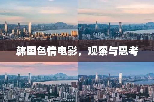 韓國(guó)色情電影，觀察與思考