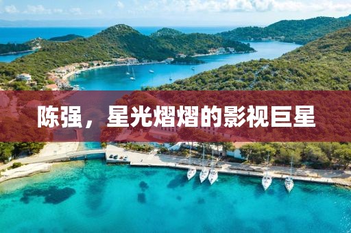 陳強(qiáng)，星光熠熠的影視巨星