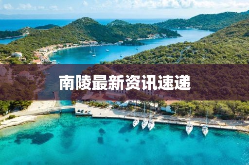 南陵最新資訊速遞