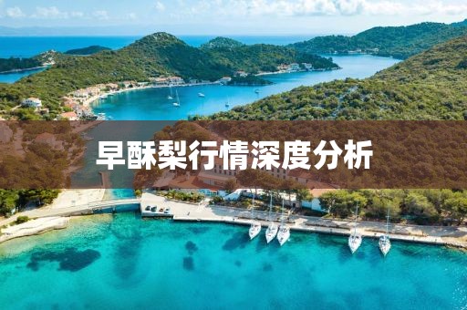 早酥梨行情深度分析