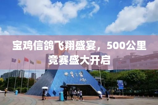 寶雞信鴿飛翔盛宴，500公里競賽盛大開啟