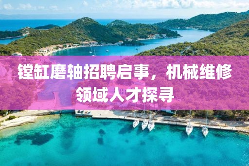 鏜缸磨軸招聘啟事，機械維修領(lǐng)域人才探尋