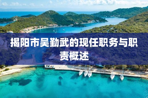 揭陽(yáng)市吳勤武的現(xiàn)任職務(wù)與職責(zé)概述