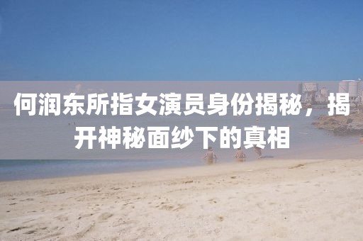 何潤(rùn)東所指女演員身份揭秘，揭開神秘面紗下的真相