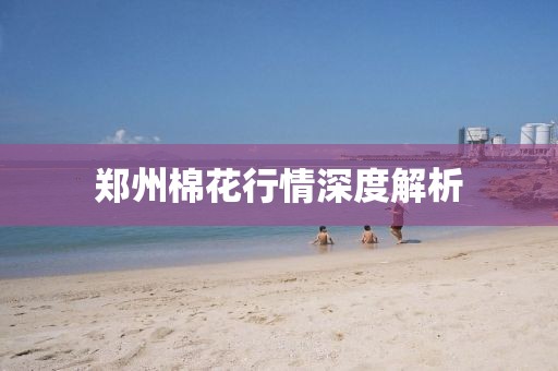 鄭州棉花行情深度解析
