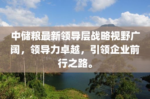 中儲糧最新領導層戰(zhàn)略視野廣闊，領導力卓越，引領企業(yè)前行之路。