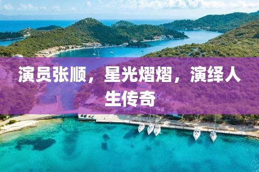 演員張順，星光熠熠，演繹人生傳奇