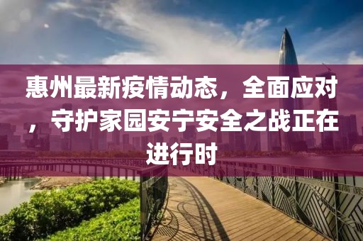 惠州最新疫情動(dòng)態(tài)，全面應(yīng)對(duì)，守護(hù)家園安寧安全之戰(zhàn)正在進(jìn)行時(shí)