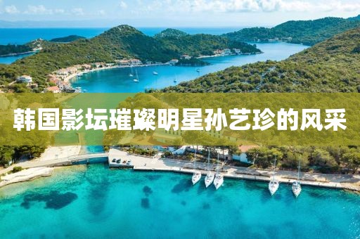 韓國影壇璀璨明星孫藝珍的風(fēng)采