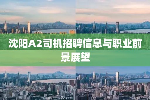 沈陽A2司機招聘信息與職業(yè)前景展望