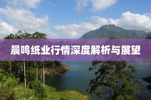 晨鳴紙業(yè)行情深度解析與展望