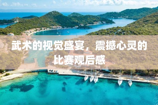 武術(shù)的視覺(jué)盛宴，震撼心靈的比賽觀后感