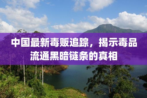 中國最新毒販追蹤，揭示毒品流通黑暗鏈條的真相