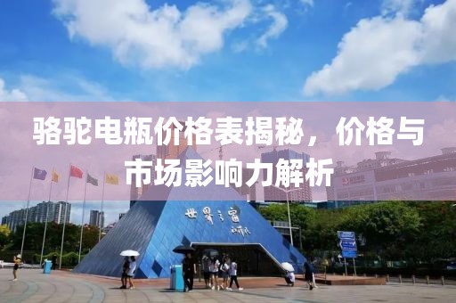 駱駝電瓶價格表揭秘，價格與市場影響力解析