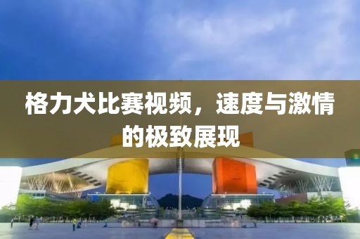 格力犬比賽視頻，速度與激情的極致展現(xiàn)