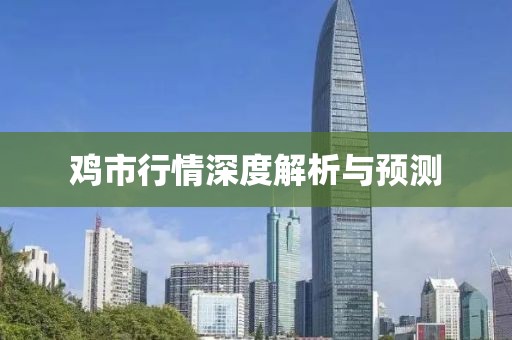 雞市行情深度解析與預(yù)測