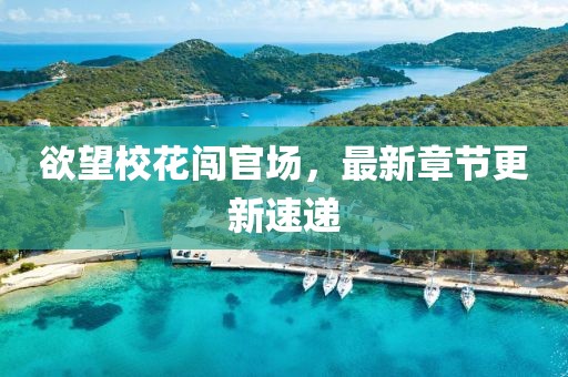 欲望?；J官場，最新章節(jié)更新速遞
