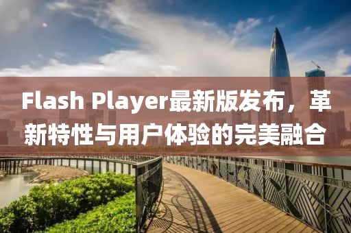 Flash Player最新版發(fā)布，革新特性與用戶體驗(yàn)的完美融合