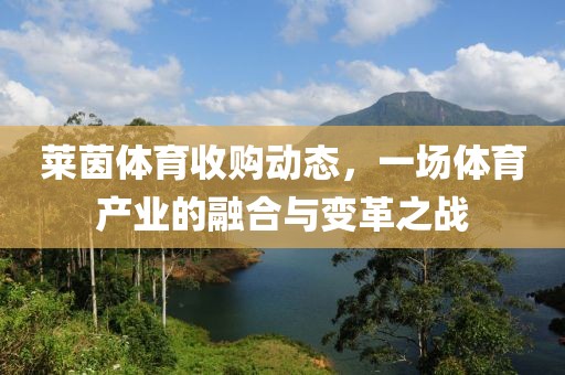 萊茵體育收購動態(tài)，一場體育產(chǎn)業(yè)的融合與變革之戰(zhàn)